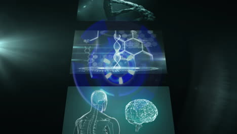 animación de procesamiento de datos científicos, cadena de adn y cerebro humano en pantallas con fondo oscuro