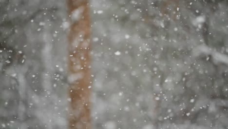 copos de nieve cayendo en cámara lenta
