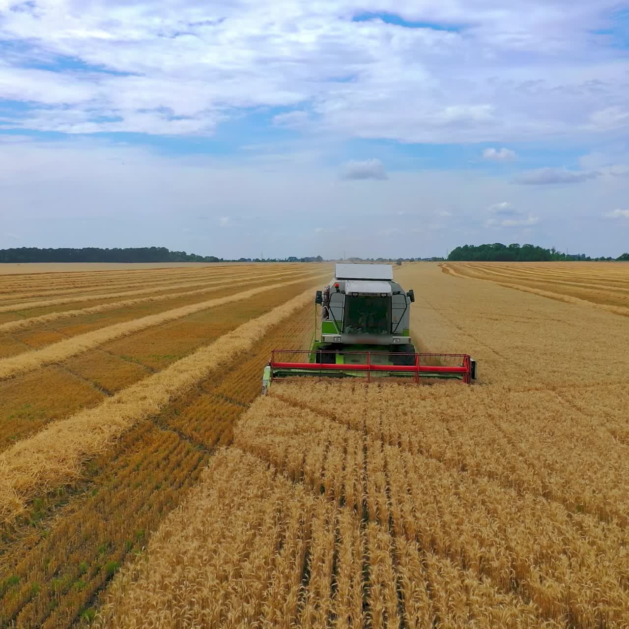 Modern combine harvester under blue sky. Harvesting machine collecting ripe wheat on a golden field in summertime. Front view