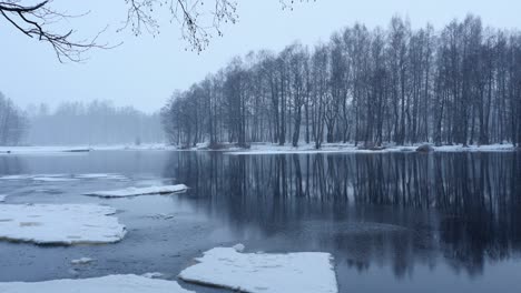 on the river bank winter landscape