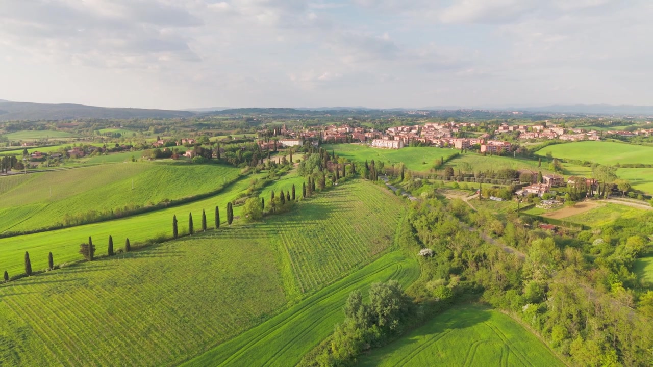 Drone che scivola su una strada dritta vicino a San Rocco a Pilli, Toscana, Italia, muovendosi verso una fila curva di cipressi e rivelando una vista distante della città toscana nella calda luce del pomeriggio.