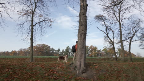 photographer man with camera backpack walking dog, side slider or crane view, sunny autumn day