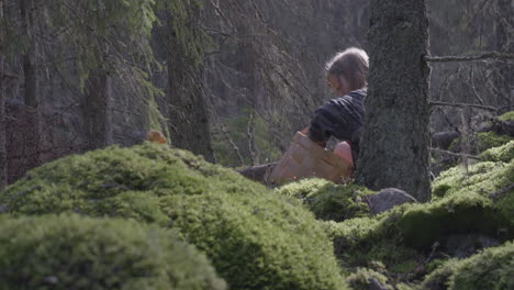 young blonde girl picking mushrooms in mossy enchanted forest, tele shot