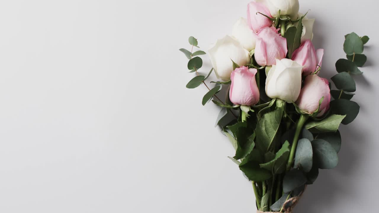 Video di un mazzo di rose bianche e rosa e spazio per il testo su sfondo bianco