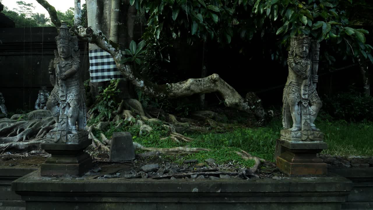 movimiento lento de la cámara hacia atrás en el templo de pura tirta frente a un gran árbol con estatuas históricas en bali indonesia en ubud