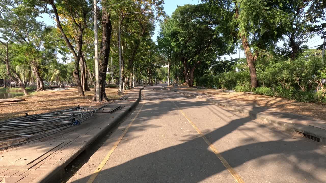 un paseo sereno flanqueado por árboles y sombras