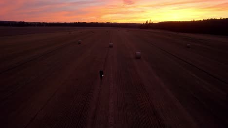 toma aérea de un campo dorado con fardos de heno o fardos de paja después de la cosecha sobre el cielo colorido después del atardecer