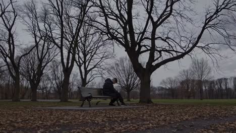 a wide-angle video shot captures a solitary figure on a park bench amidst bare trees