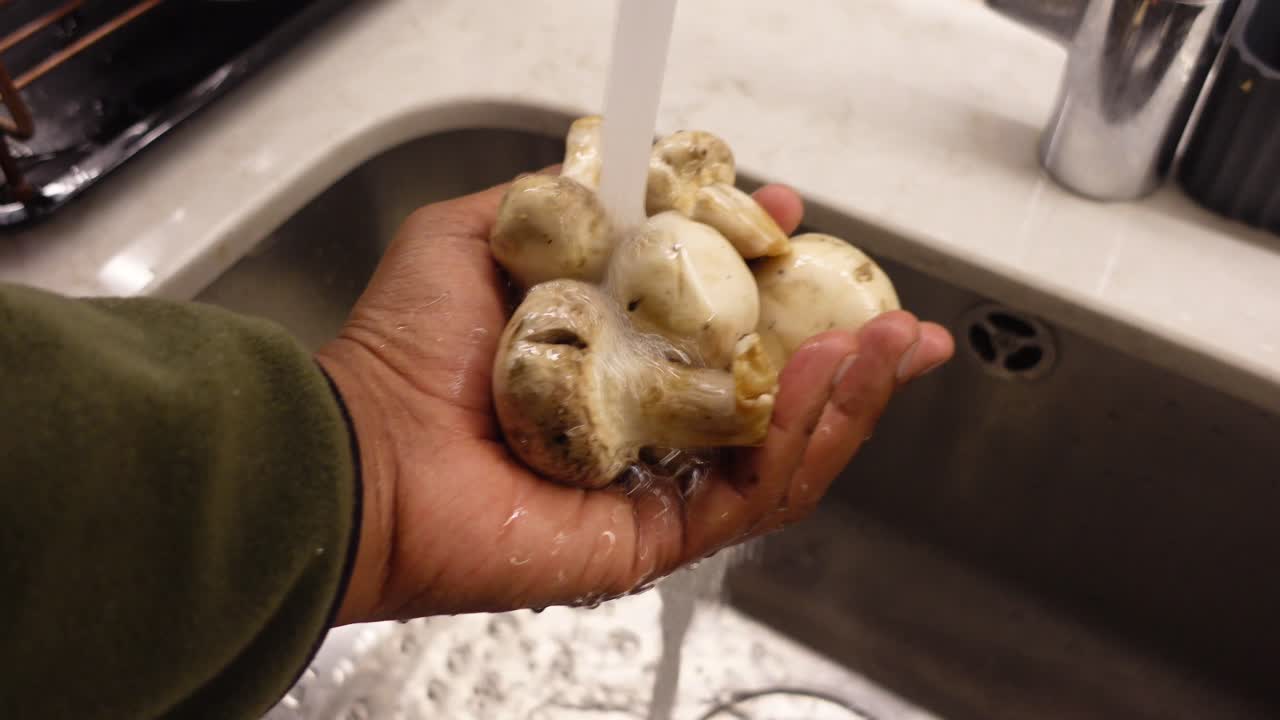 Washing Mushrooms in Kitchen Sink