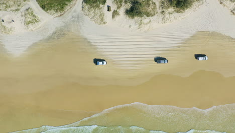 4k aerial top down view 4wd cars driving in convoy along sandy beach shore, australia, drone