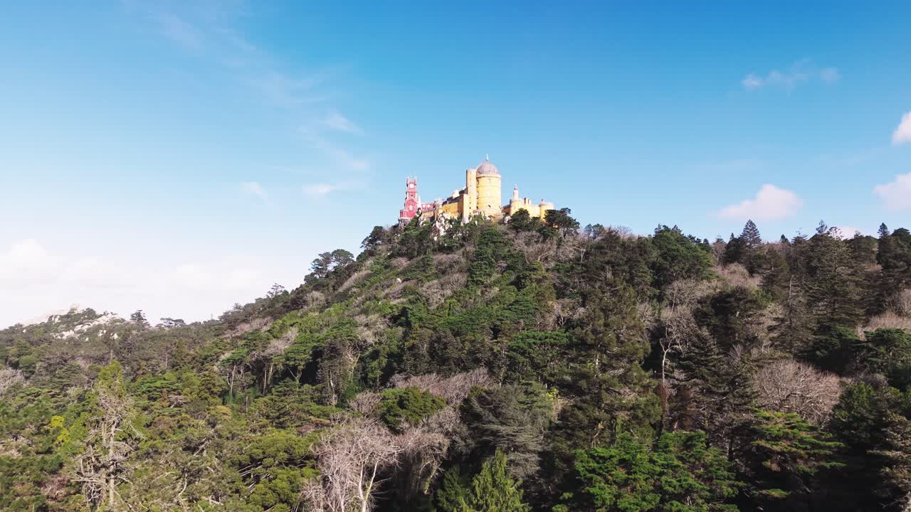 Drone shot of Pena Park dense forest with The Pena Palace at top under clear blue sky. The park symbolises harmony between nature and architecture