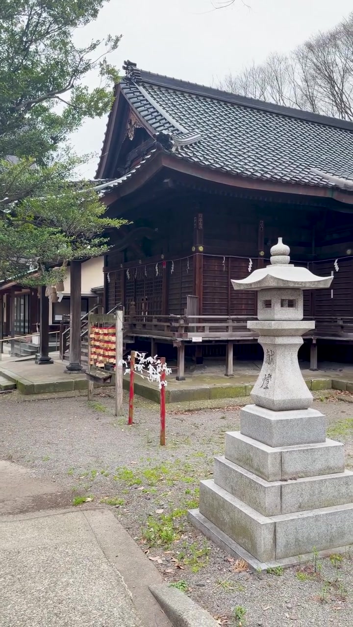Panorering af en traditionel japansk helligdom med stenlanterner, træbygninger og frodige træer.