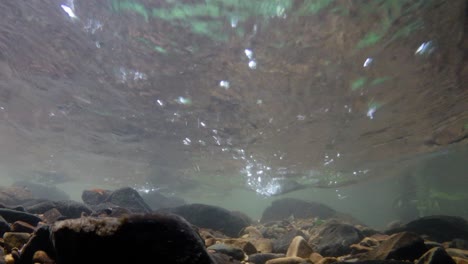 kaeng krachan national park is home to a lot of fantastic wild animals and the streams are life source of fresh water for animals to drink and for fish to swim around