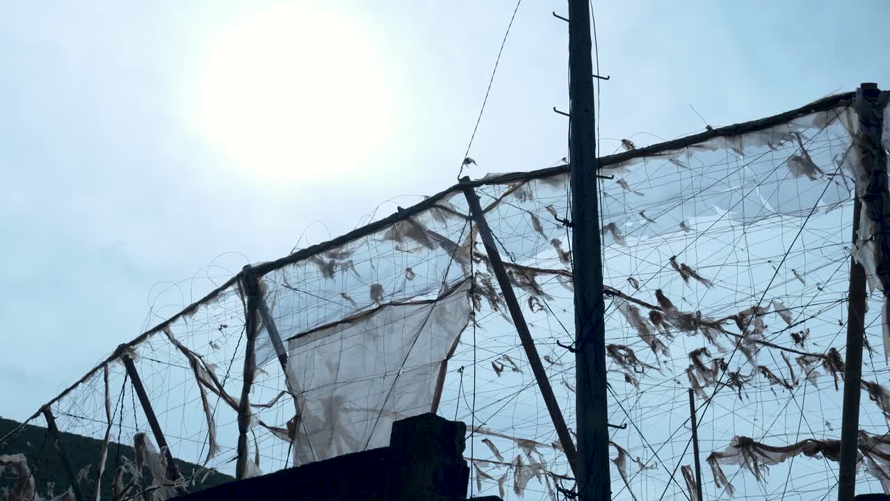 Torn Plastic Sheet Flapping in the Wind Against a Bright Sky