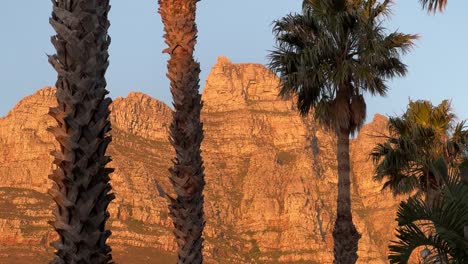 view of table mountain from camps bay at sunset.