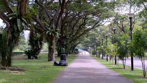 Park-Connector-Netzwerk-Mit-üppigem-Grün-Im-Bereich-Der-Singapore-Fort-Road-In-Singapur