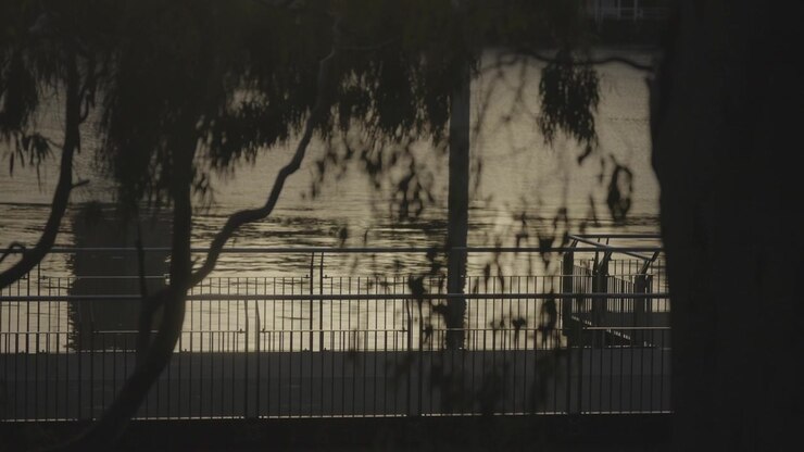 Warm dusk light glows on the calm Brisbane River, framed by silhouetted tree branches along the riverbank.