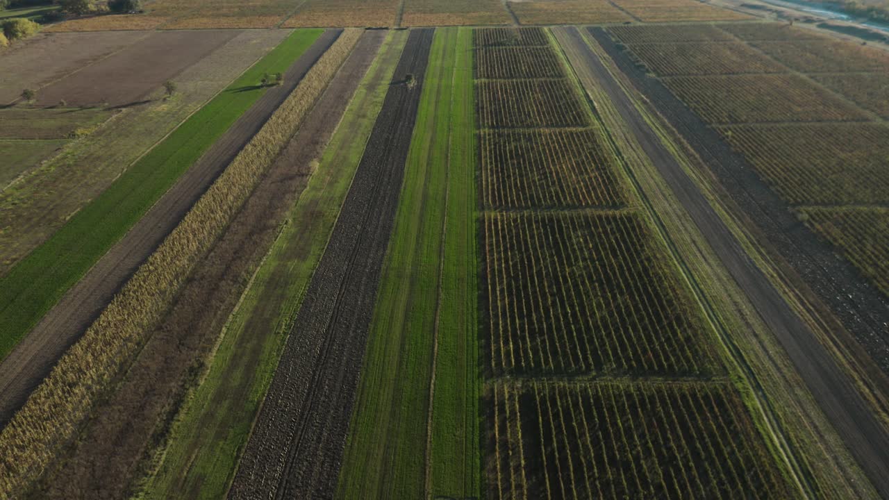 vastas tierras de cultivo del viñedo en la región de kakheti en el este de georgia