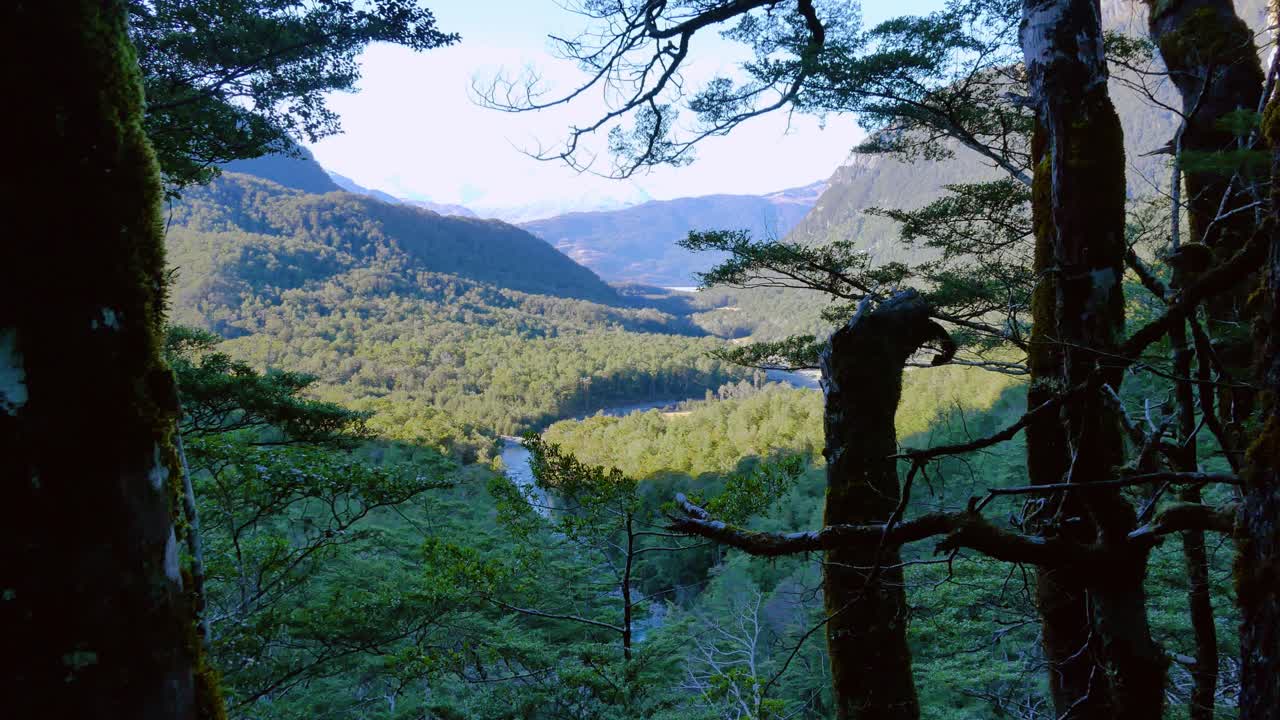 View of dense green mountain forest with trees in foreground.