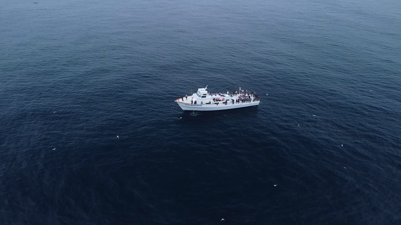 tomas de cabeza de new seaforth, la jolla