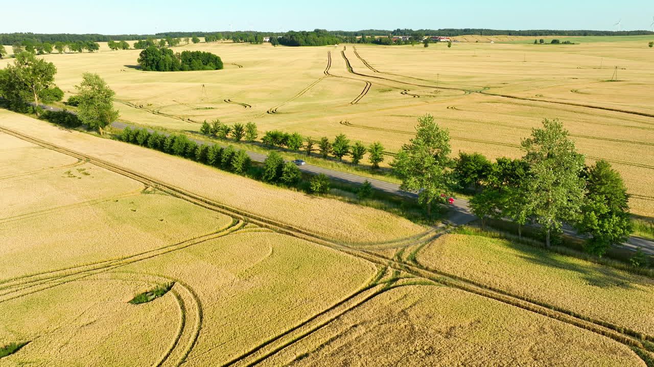 Aerial shot of golden wheat fields with tire tracks and a red car driving on a tree-lined road, capturing the expanse of the rural landscape