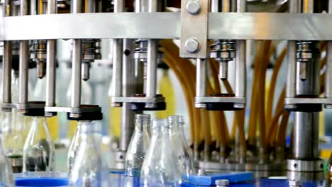 automatic machine line for filling water in a glass bottle. bottling of herbal drink in glass bottles. production of drinking water and beverages.