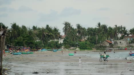 mui ne beach vietnam near to the fishing village - traditional basket boats line the shores - right to left panning shot