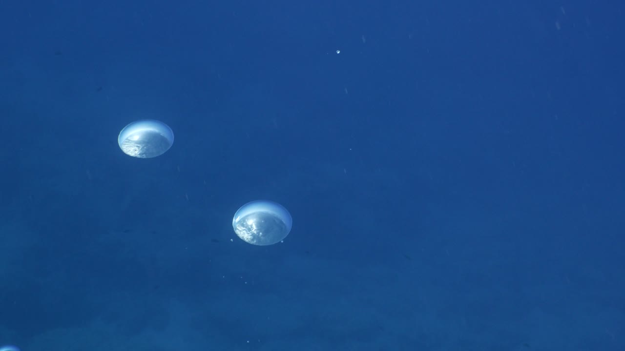 하늘과 표면에 가까운 수중 바다 풍경 태양 광선과 공기 거품 느리게 편안한 바다 배경