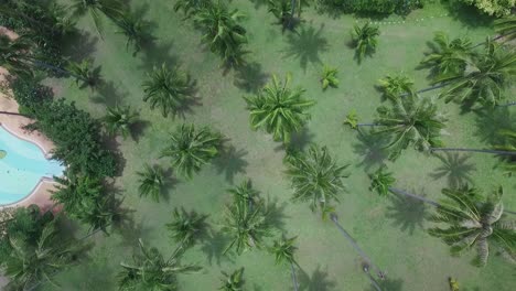 Aerial top view rising above Koh Chang Thailand luxury palm tree resort and relaxing pool