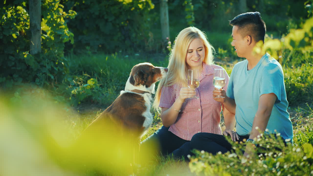 포도원 근처에서 와인을 시음하는 행복한 커플 그들 근처의 개가 행복한 함께 좋은 시간 개념
