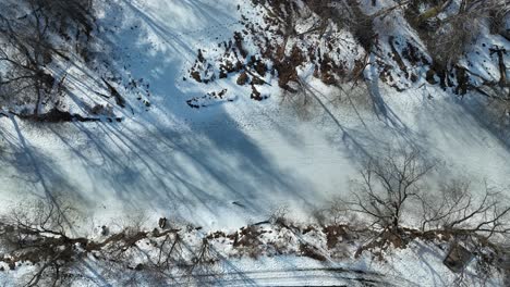 a serene top-down aerial view of a snow-covered forest during winter. the trees' bare branches cast long shadows over the pristine white snow, creating a peaceful and quiet winter scene.