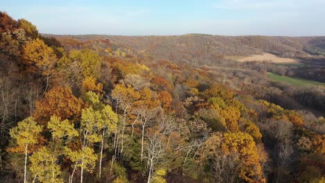 autumn foliage in a valley