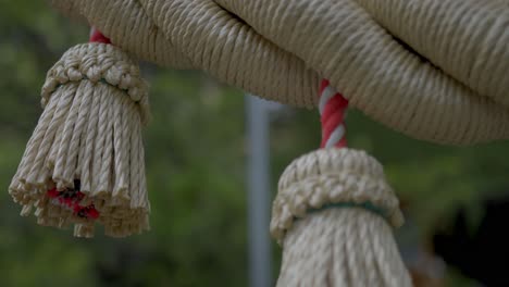 beautiful straw bale charm of shinto, low angle tilt right shot