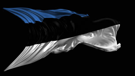 waving estonian flag