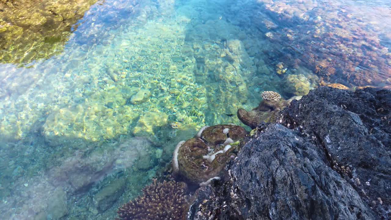 Tsukasaki Tide Pools on Yakushima Coral Reef, Kagoshima Japan