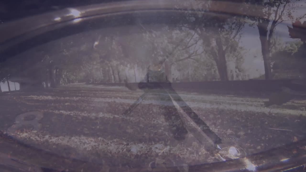 Animation of clock moving over leaves falling in park