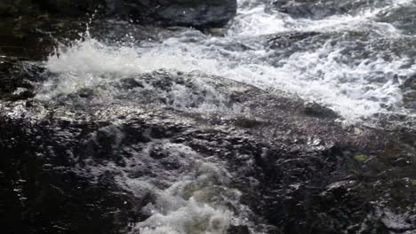 Agua-Blanca-Salpicando-Rocas-En-Un-Río-Que-Fluye-Rápido---Cámara-Lenta