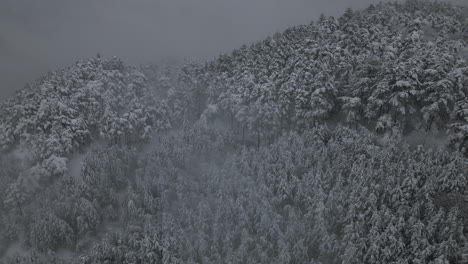 Winterdorf-Luftaufnahmen-Des-Verschneiten-Waldes