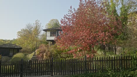 beautiful autumn colour trees in rustic peaceful village bozhentsi