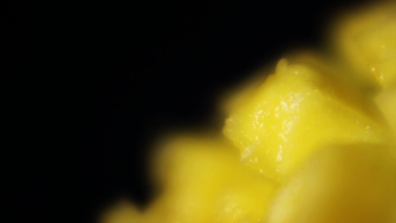 다진 육즙이 많은 망고의 매크로 클로즈업