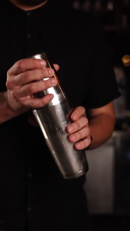 bartender shaking a cocktail