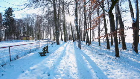 a walkway with trees and benches covered by snow in a park on sunny winter day