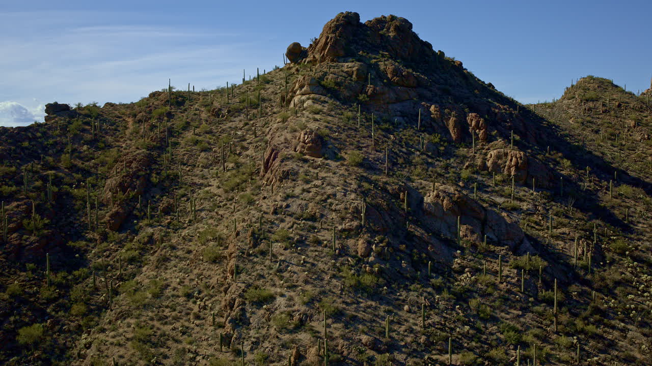 drone disparado volando sobre montañas cubiertas de flora del desierto, incluido el cactus saguaro al amanecer