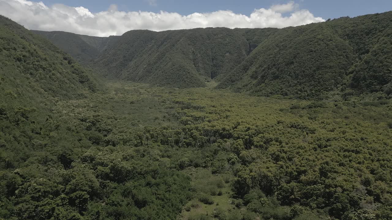 vuelo aéreo bajo por el intacto valle de pololu en la gran isla de hawai