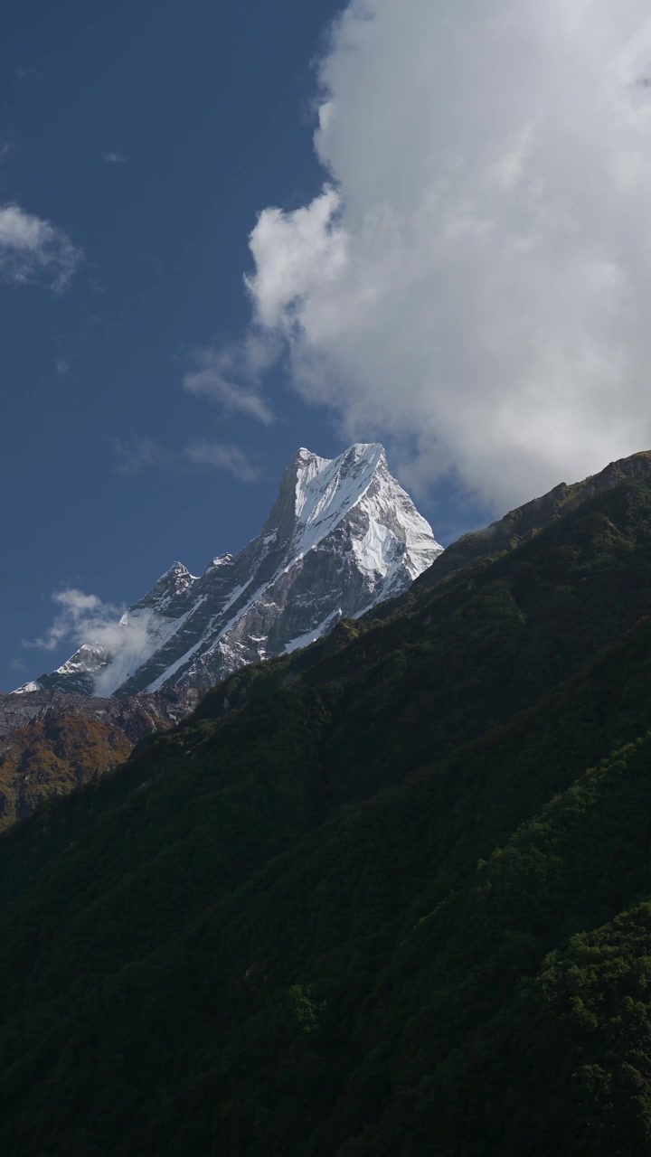 Montagne dell'Himalaya e foresta in Nepal, video verticale per social media, Instagram Reels e TikTok delle montagne dell'Annapurna e vegetazione lussureggiante, paesaggio delle colline pedemontane dell'Himalaya e la montagna Fishtail innevata