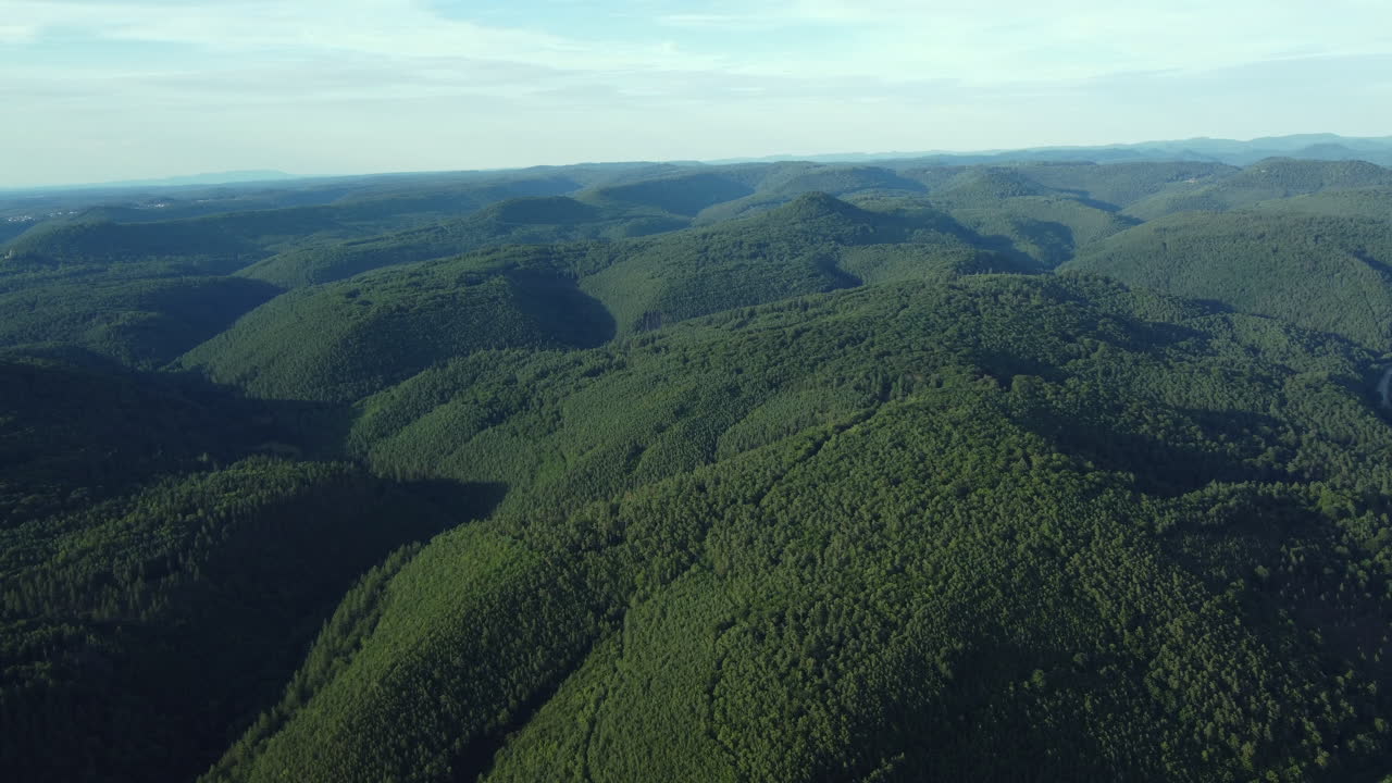 Aerial View of Lush Forest Mountains