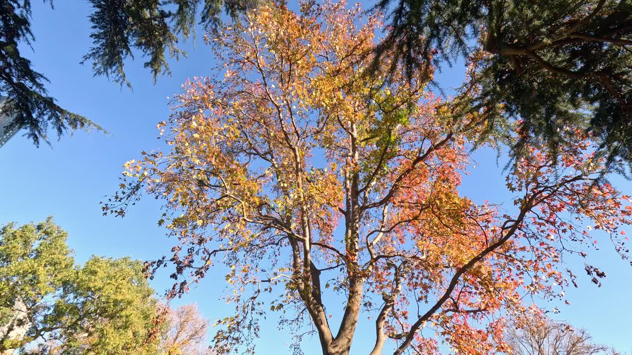 공원 에서 이 잘 내리는 날 을 즐기는 사람 들