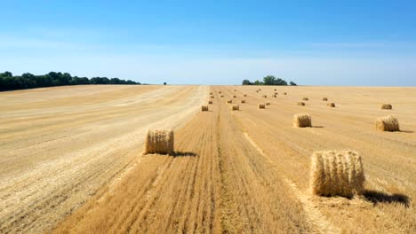 balas redondas en el campo vista aérea