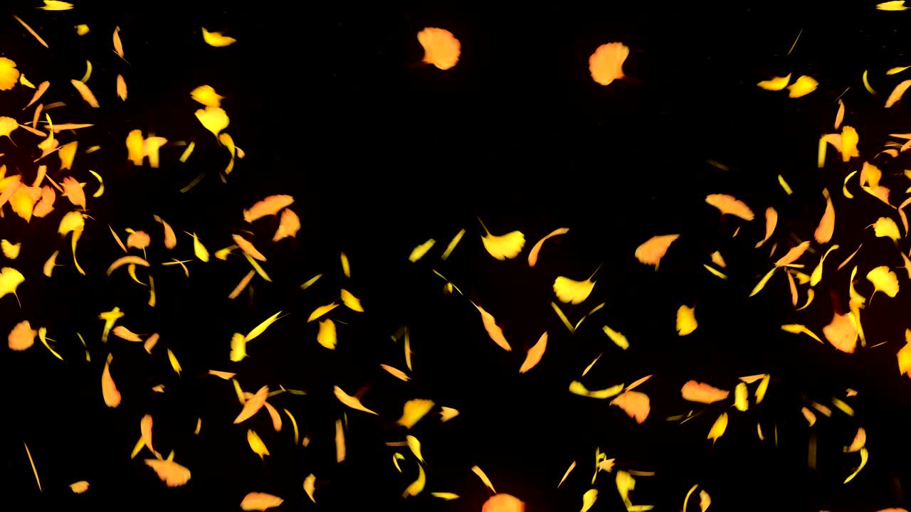 검은 바탕에 떨어지는 가을 잎, 고 잎, 루프 글리터 애니메이션