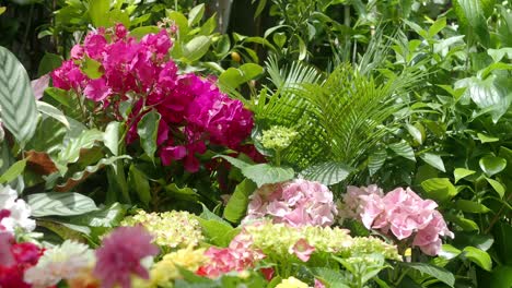 arreglos de flores de colores